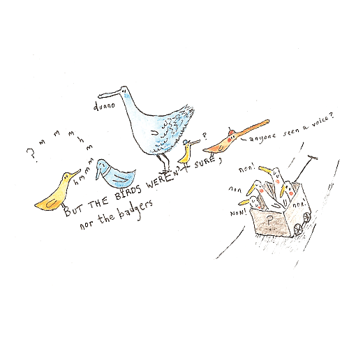 Birds and badgers